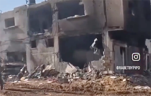 Thumbnail preview image for the video titled: This French-Israeli IDF respects Quran...after destroying mosques, homes and lives