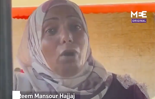 Thumbnail preview image for the video titled: Palestinian mother pleads for gaza, says children have forgotten school as war nears tenth month