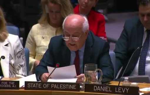 Thumbnail preview image for the video titled: Palestine UN ambassador denounces Israeli systematic torture of abducted Palestinians