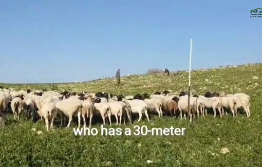 Thumbnail preview image for the video titled: In Al Farsiya, the Israeli settler Gilad Amosi violated his restraining order and invaded Palestinian crops