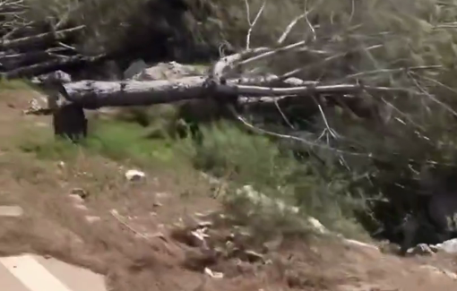 Thumbnail image of a video tagged with Aalma El-Chaeb