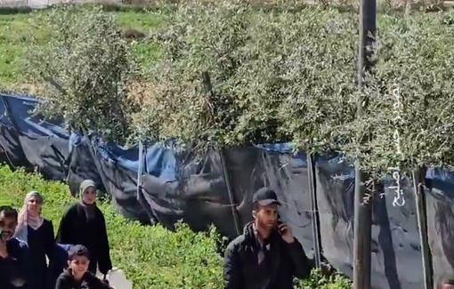 Thumbnail preview image for the video titled: Thousands forcibly displaced from Rafah under Israeli assault