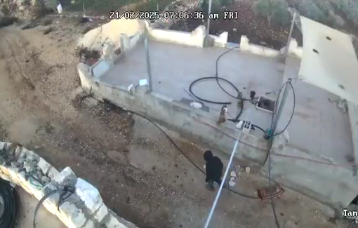 Thumbnail preview image for the video titled: Israeli settlers attack Palestinian property in the village of Kafr Qaddum