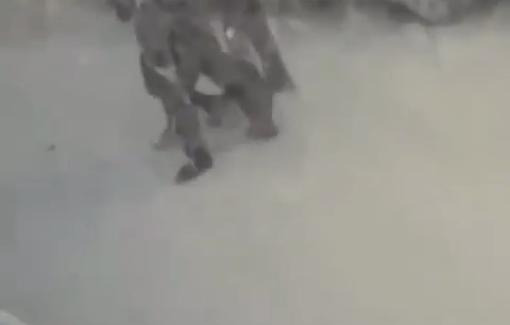 Thumbnail preview image for the video titled: Israeli occupation forces arrest a Palestinian child from Shuafat RC in occupied Jerusalem