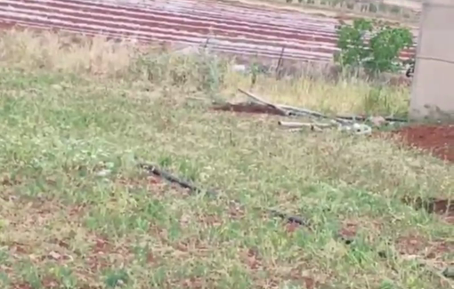 Thumbnail preview image for the video titled: Israeli forces raid a Palestinian home during their storming of the town of Tamun