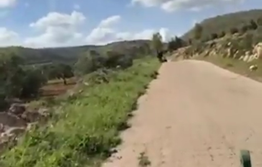 Thumbnail preview image for the video titled: Israeli settler militias attack Palestinian farmers near Al-Mughayir village