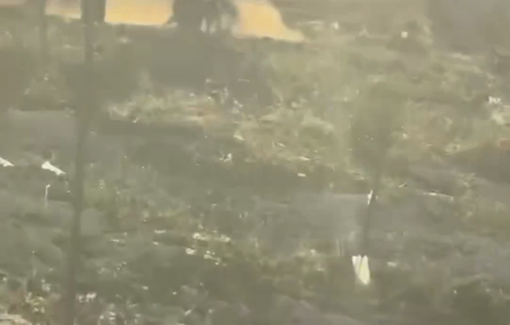 Thumbnail preview image for the video titled: Israeli settler shot a Palestinian on his own land near Tuwani