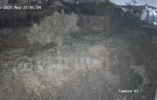 Thumbnail preview image for the video titled: Pogrom of dozens of settlers in Immatin near Qalqiliya
