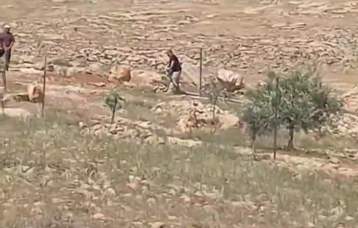 Thumbnail preview image for the video titled: Mere hours after Sheikh Saeed was shot by a settler, the settlers are already working on his land