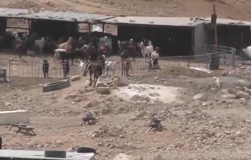 Thumbnail preview image for the video titled: Masked and armed settlers invaded Mu'arrajat on horseback