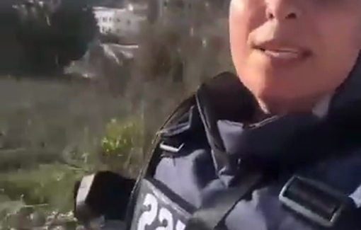 Thumbnail preview image for the video titled: Palestinian journalist Wafeya Abdel Al-Hadi reports on Israeli forces' large-scale demolition in Nur Shams