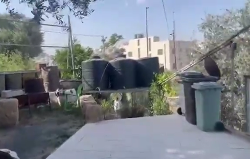 Thumbnail preview image for the video titled: Settlers, under army protection, invaded the property of anti-colonization activist Issa Amro