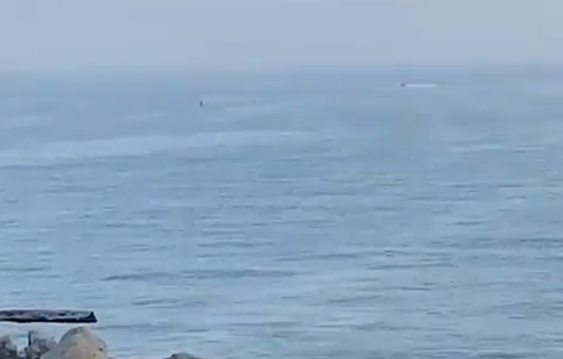 Thumbnail preview image for the video titled: People bring the bodies of two fishermen shot at sea by Israeli navy