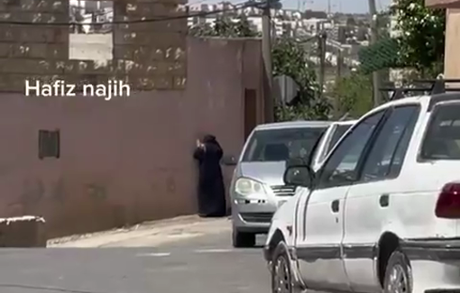 Thumbnail preview image for the video titled: Israeli forces detain a young man, his wife, and their daughter and abuse them in the town of Kafr ad-Dik