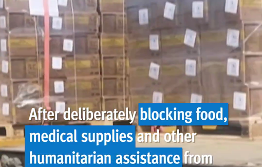 Thumbnail preview image for the video titled: After deliberately blocking humanitarian assistance from entering Gaza for 78 days, Israel allowed a “basic amount” of aid