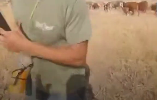 Thumbnail preview image for the video titled: Israeli settlers attacked a Palestinian farmer in Bardala’s Qa'un area