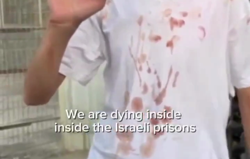Thumbnail preview image for the video titled: Palestinian detainee Muhammad Khalaf from Ramallah: “We are dying inside [Israeli jails]”