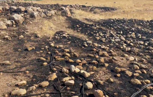 Thumbnail preview image for the video titled: Israeli settlers seized a Palestinian’s land in Bardala, burned his field, and destroyed irrigation pipes