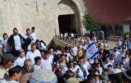 Thumbnail preview image for the video titled: Jerusalem Day: Jewish supremacists assaulting a Palestinian activist