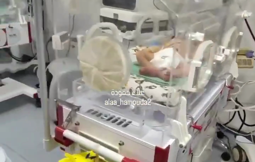 Thumbnail preview image for the video titled: Pregnant women in Gaza are giving birth to frail, underweight babies due to malnutrition from the ongoing blockade