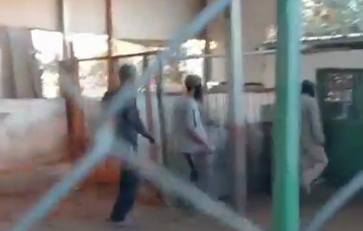 Thumbnail preview image for the video titled: Dozens of settlers,backed by the Border Police and the army, invaded the village of Tuwani in order to steal sheep from the residents' herds