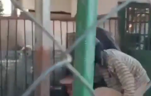 Thumbnail preview image for the video titled: Dozens of settlers, accompanied by massive forces of the Border Police and the army, invaded the village of Tuwani in order to steal sheep from the residents' herds
