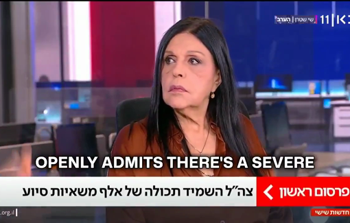 Thumbnail preview image for the video titled: An IDF whistleblower says aid from 1,000 trucks was buried in pits or burned