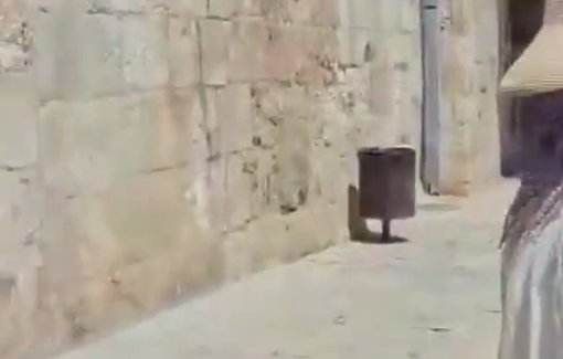 Thumbnail preview image for the video titled: Thousands of Jews march chanting and desecrating Al-Aqsa Mosque