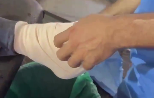 Thumbnail preview image for the video titled: Gaza Hospitals overrun with insects as Israel blocks essential hygiene supplies