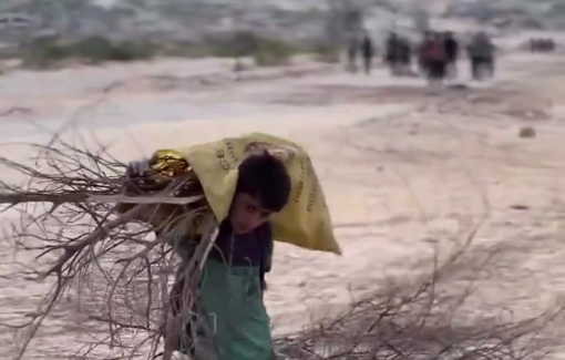 Thumbnail preview image for the video titled: Child Khaled carries firewood on his small shoulders to sell for flour for his siblings