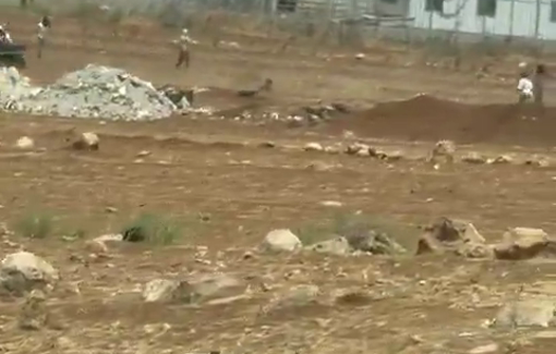 Thumbnail preview image for the video titled: Israeli settler massive attack on Abu Falah, Turmus Ayya and AL-Mughayyir plain setting cars and caravans on fire