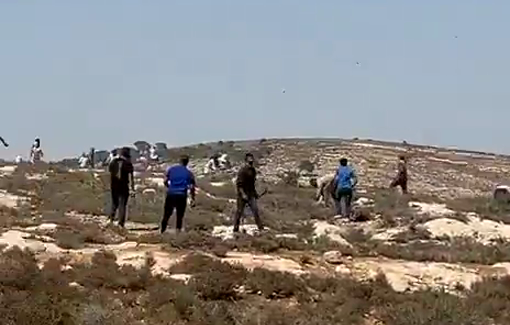 Thumbnail preview image for the video titled: Massive settler attack on Abu Falah, Turmus Ayya and AL-Mughayyir