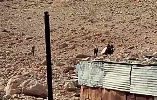 Thumbnail preview image for the video titled: Israeli settlers began establishing a new illegal outpost near the village of Ras Ein al-Auja