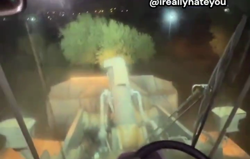 Thumbnail preview image for the video titled: A femal Israeli soldier posted a POV video, depicting herself bulldozing olive trees in Al-Mughayyir