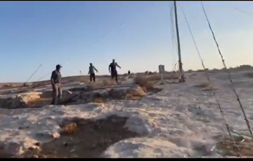 Thumbnail preview image for the video titled: Footage of the violent assault by the settler on residents and activists in Qawawis