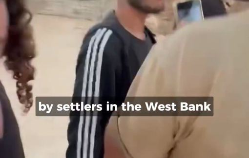 Thumbnail preview image for the video titled: Two activists injured in two separate settler attacks in Duma