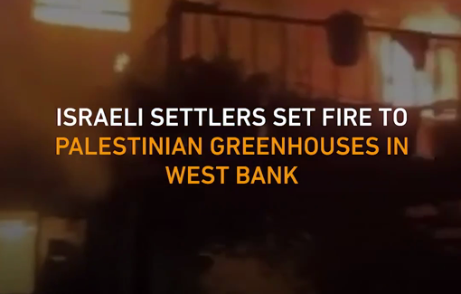 Thumbnail preview image for the video titled: Israeli settlers set fire to al-Junaidi greenhouses in Deir Sharaf near Nablus