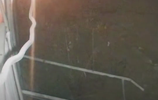 Thumbnail preview image for the video titled: Settler attack in Deir Sharaf: "“This plant nursery is our second home — mine and my cousins’”