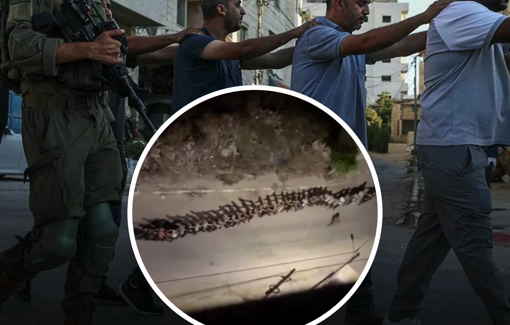 Thumbnail preview image for the video titled: Israeli Army launched a wide-scale abduction campaign targeting citizens in the city of Tulkarm