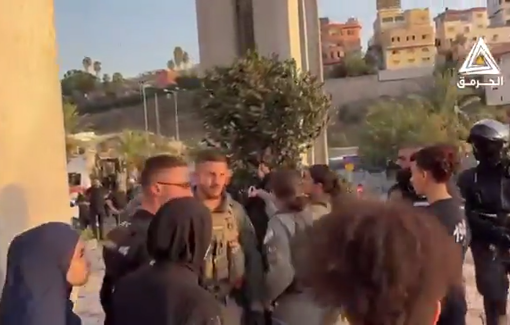 Thumbnail preview image for the video titled: Israeli police arrest girl, attack British journalist at Umm al-Fahm Gaza protest (Palestine 48)