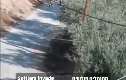 Thumbnail preview image for the video titled: Israeli army used a ‘closed military zone’ order to evict farmers and activists during the olive harvest