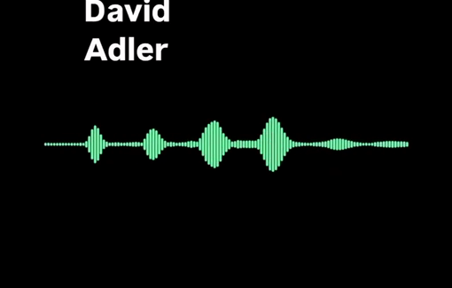 Thumbnail preview image for the video titled: Testimony of activist David Adler about the torture inflicted to Sumud crews by Israeli Prison guards