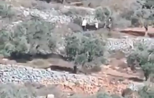 Thumbnail preview image for the video titled: Israeli settlers steal olive harvest from Palestinian lands east of Burin village