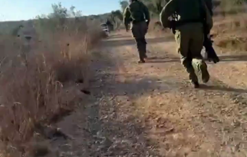 Thumbnail preview image for the video titled: Settlers, accompanied by the Israeli occupation army, attacked olive pickers in Beita