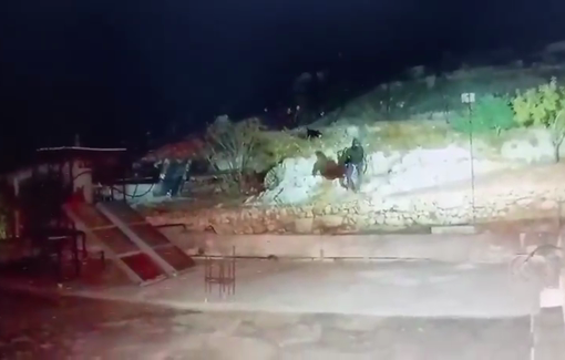 Thumbnail preview image for the video titled: Israeli settlers invaded a home courtyard and demolished a solar panel in the village of Umm Safa