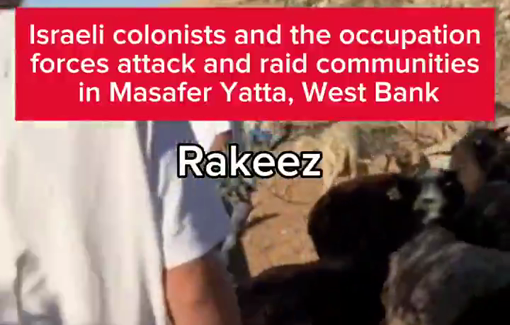 Thumbnail preview image for the video titled: Israeli settlers and soldiers attacked and raided multiple communities, trespassing and physically assaulting Palestinians