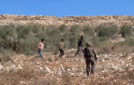 Thumbnail preview image for the video titled: Settlers backed by Israeli soldiers attaked activists and farmers during the olive harvest in Deir Ammar