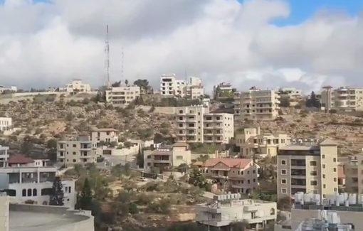 Thumbnail preview image for the video titled: Settlers backed by Israeli soldiers preventing the olive harvest in Idhna