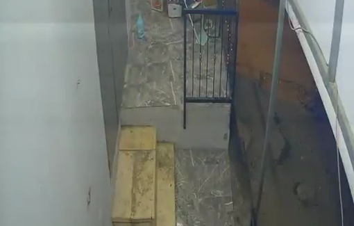 Thumbnail preview image for the video titled: The moment Mahdi Ahmed Kamil was shot by Israeli gunfire in Qabatiya