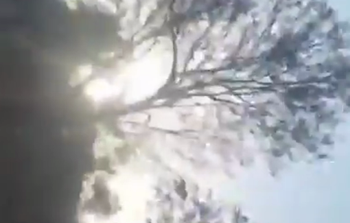 Thumbnail preview image for the video titled: Israeli settler and representative of the Israeli authorities preventing farmer from harvesting olives in Kabalen